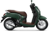 Scoopy