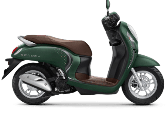 Scoopy